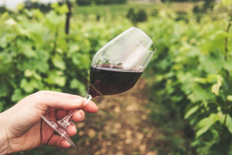 Bedste vin til dådyr