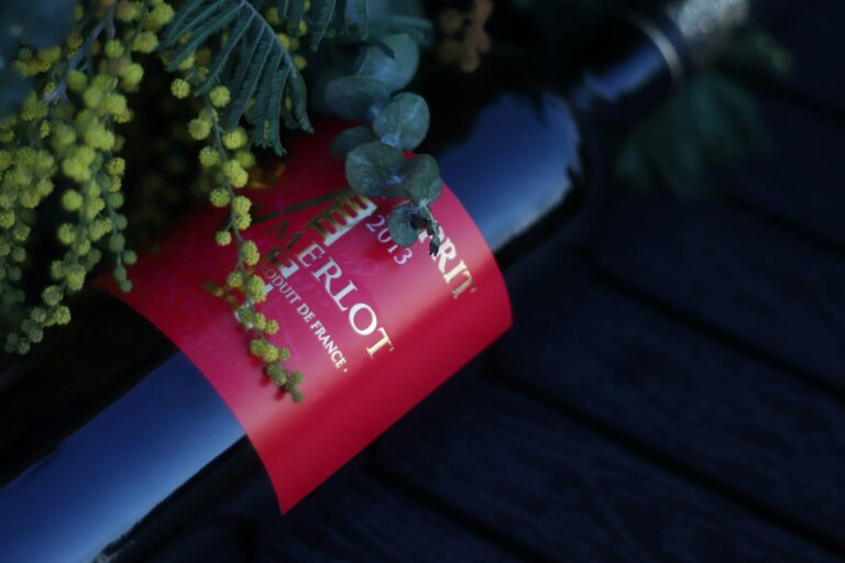 Bedste Merlot Vin