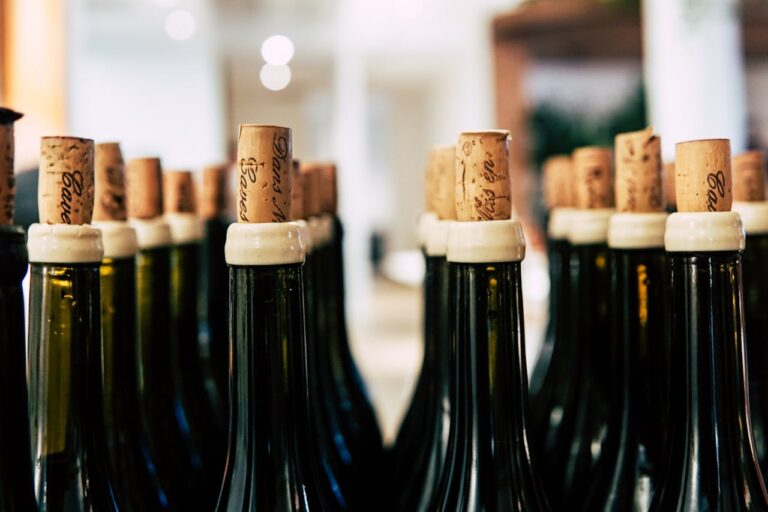 Bedste Pinot Noir Vin
