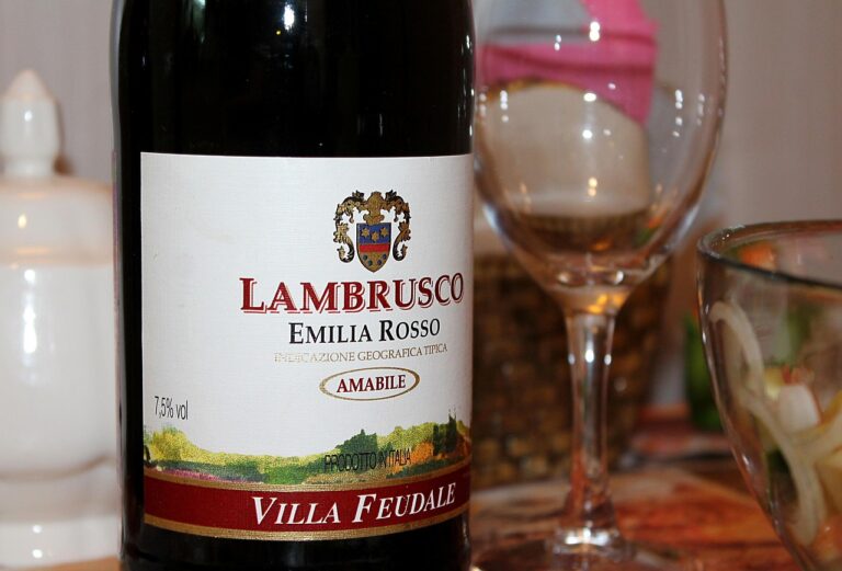 Hvad er Lambrusco?
