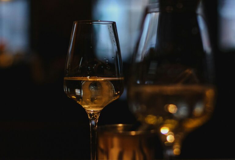 Hvad er vegansk vin?